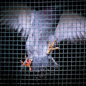 性精品❌❌❌A片天美
